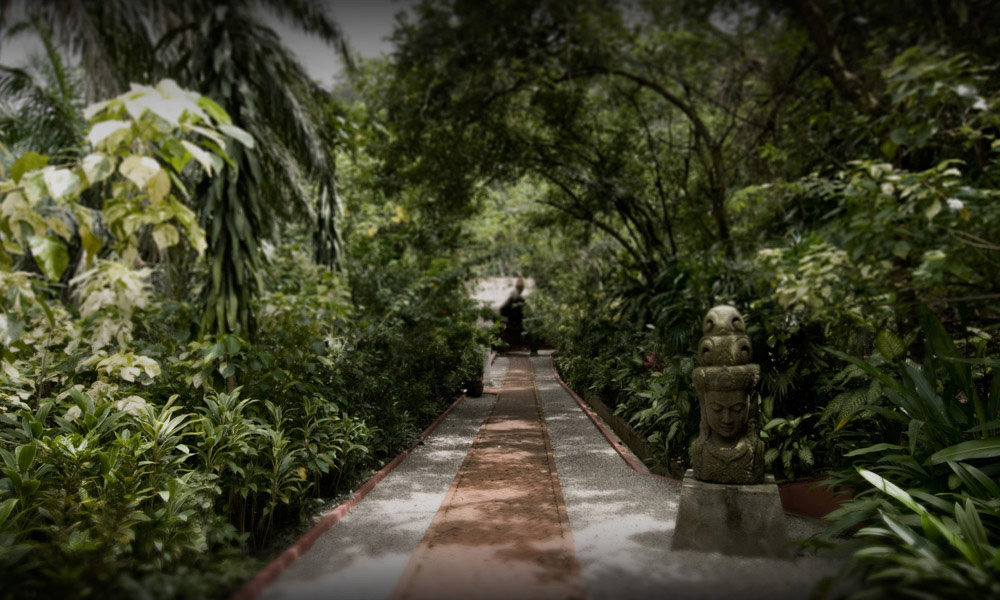 Tamarind Springs | Event Venue in the Jungle | VMO