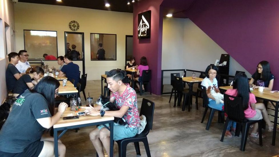 J Dog House & Cafe VMO