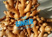 Bentong Top Ginger Delivery Service